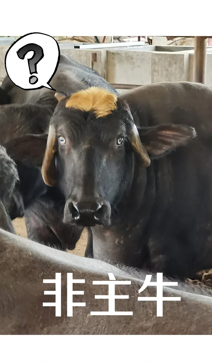 小番外 圣诞节 第25页