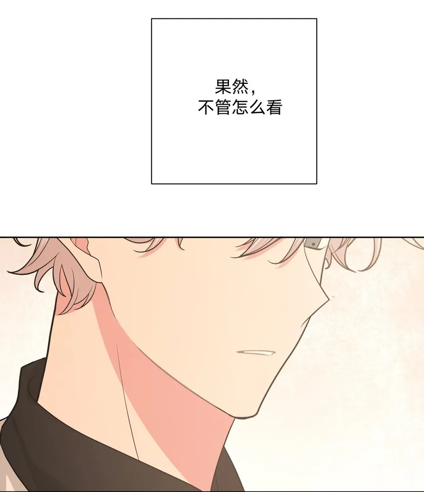 040 别摸了 第52页