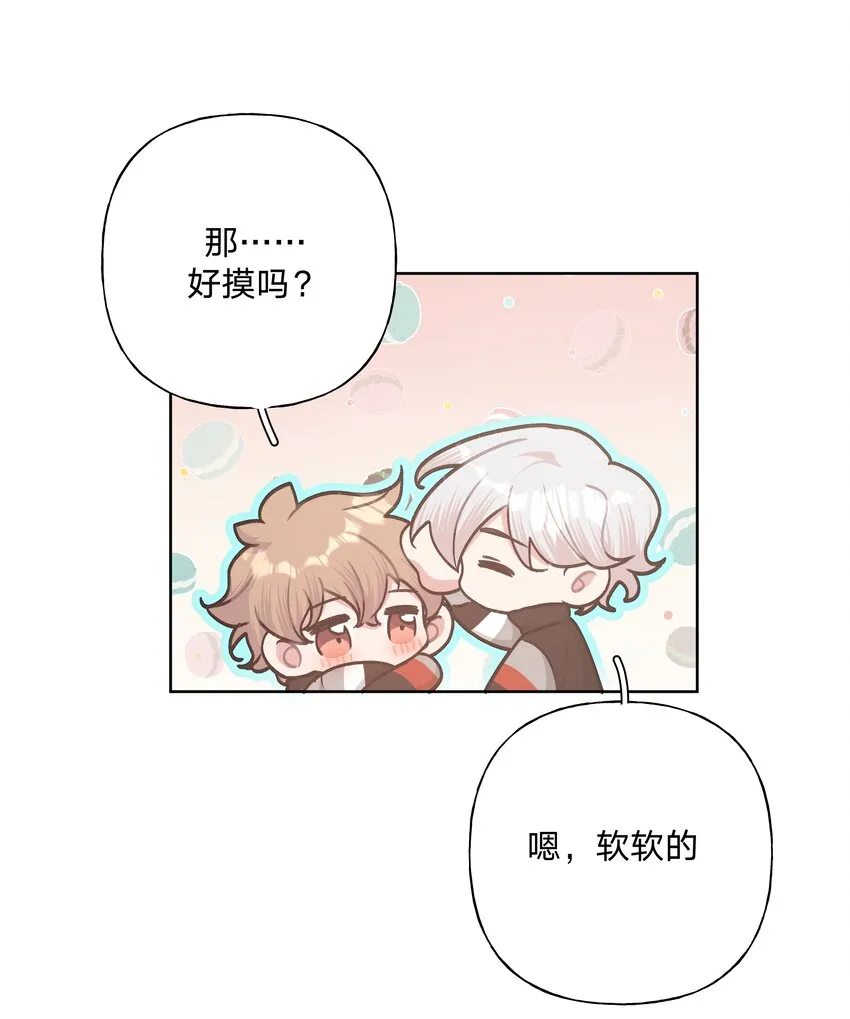 050 这张照片是怎么回事 第13页