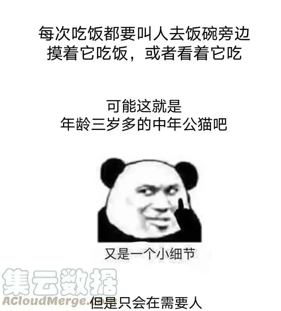 猫猫 请假条 第8页
