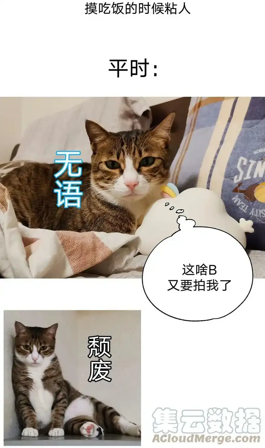 猫猫 请假条 第9页