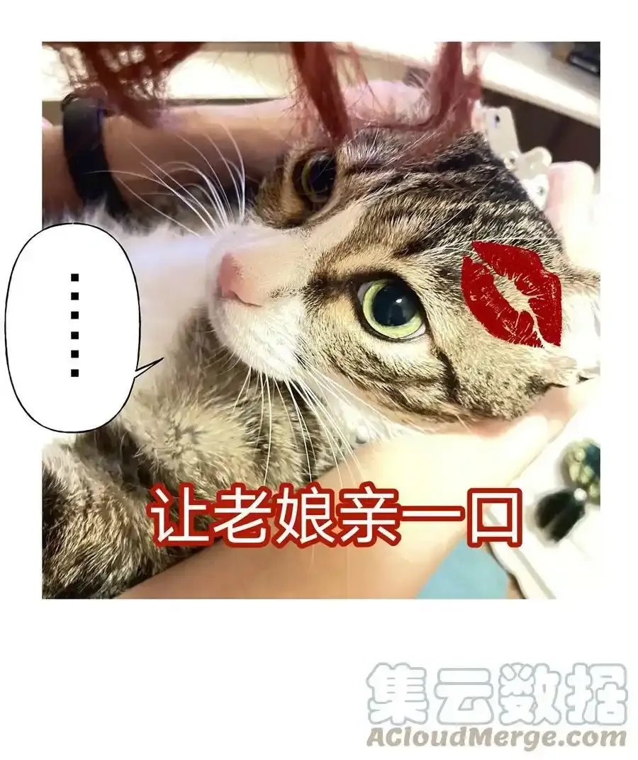 猫猫 请假条 第11页