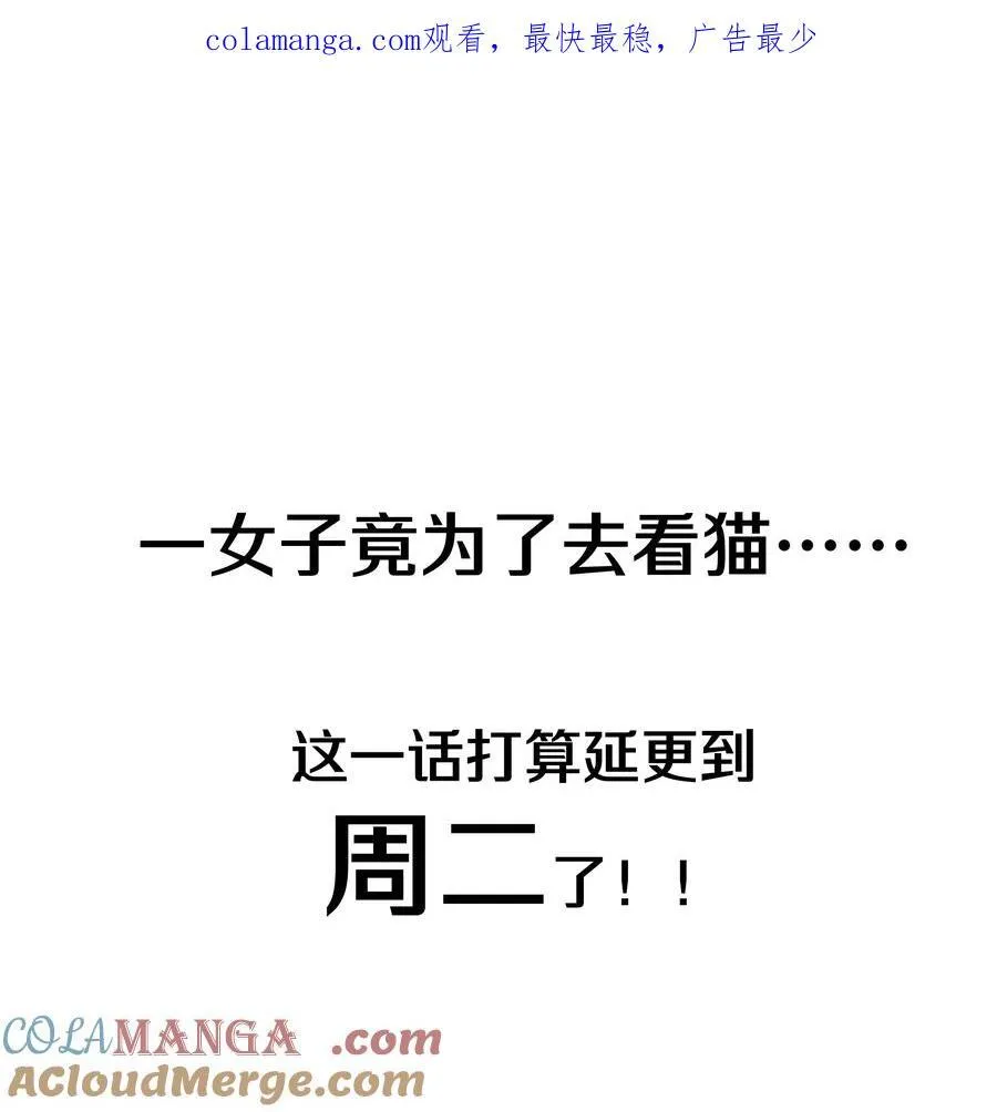 调更 一女子 竟为了去看猫…… 第1页