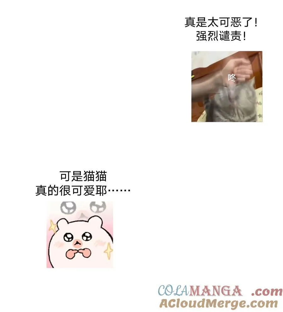 调更 一女子 竟为了去看猫…… 第2页