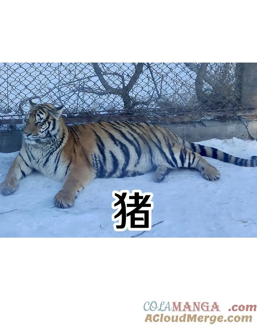调更 一女子 竟为了去看猫…… 第9页