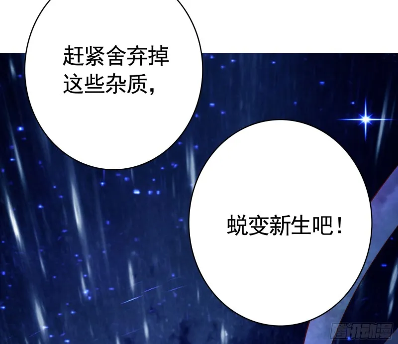 光照了进来 第13页