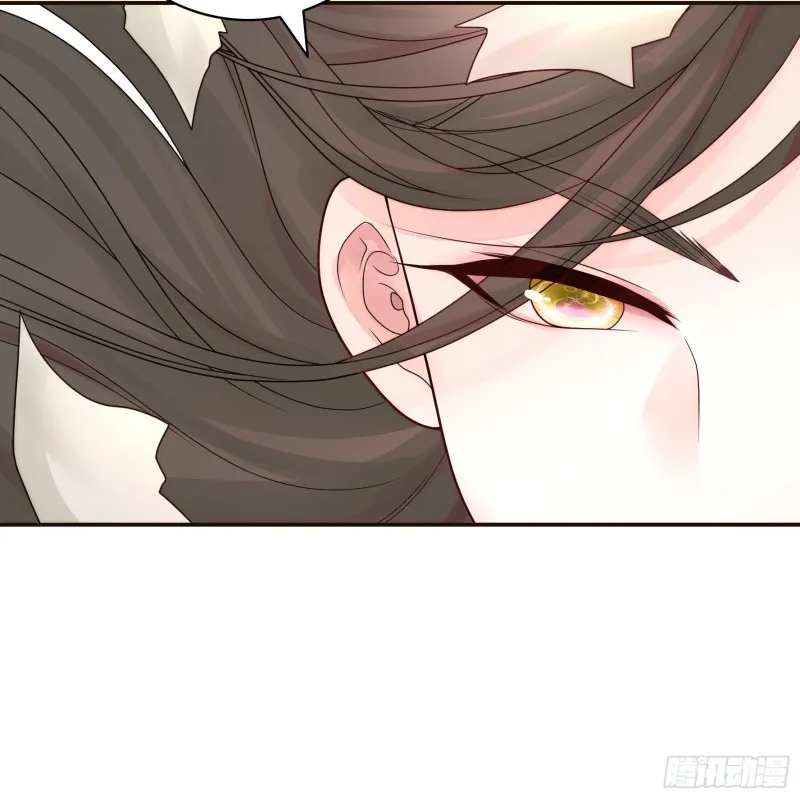 光照了进来 第49页