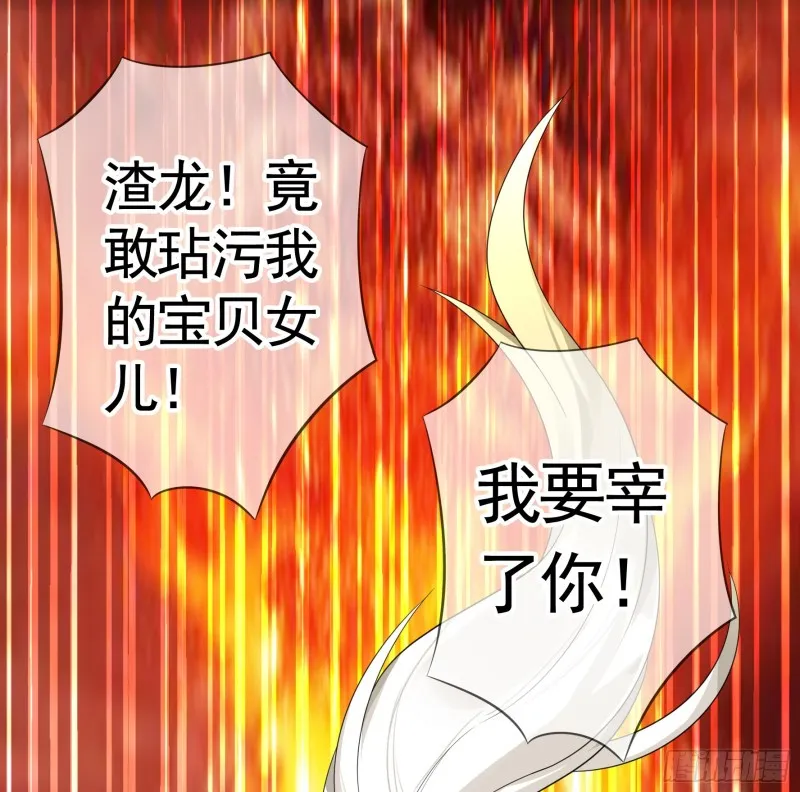 十年白菜被渣龙啃了 第1页
