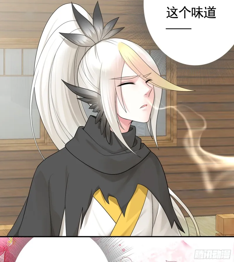 十年白菜被渣龙啃了 第21页