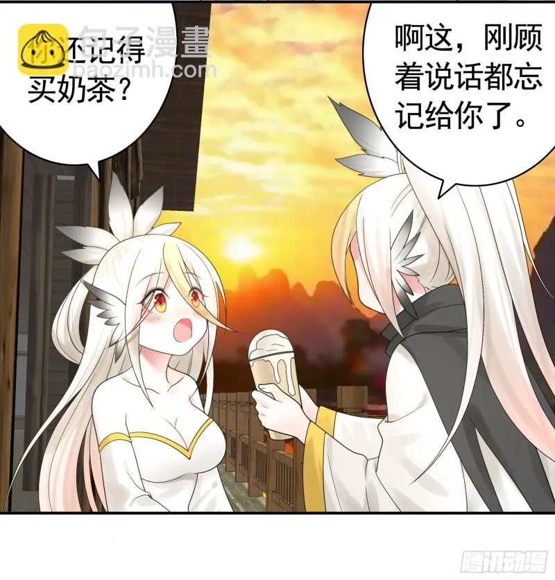 十年白菜被渣龙啃了 第47页