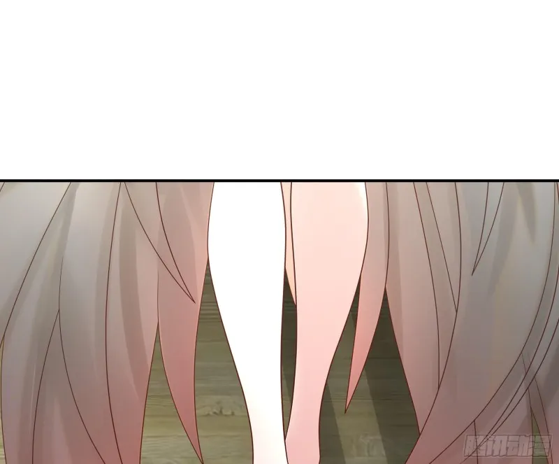 女神婚礼直播 第11页