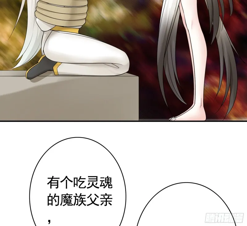 女神婚礼直播 第30页