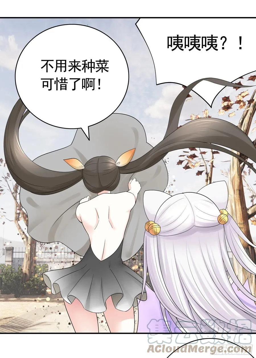 姑娘们来种田 第31页