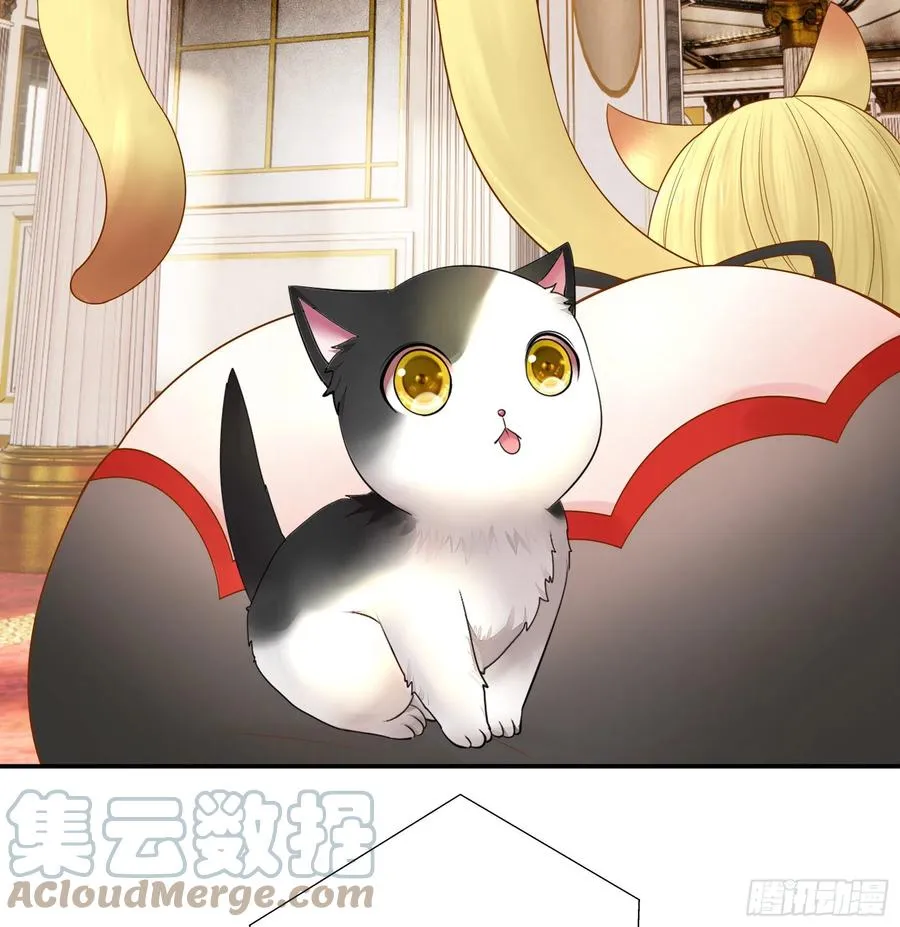 我们养你呀 第43页