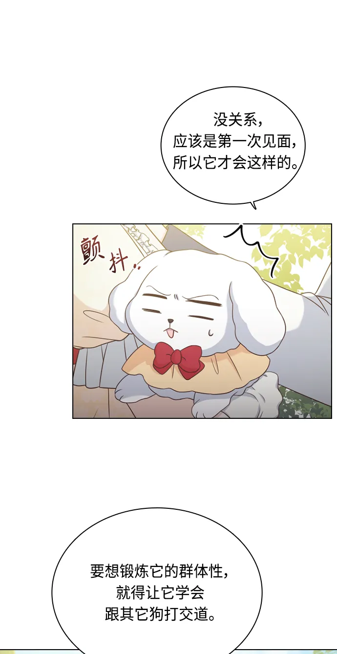 第51话 第52页