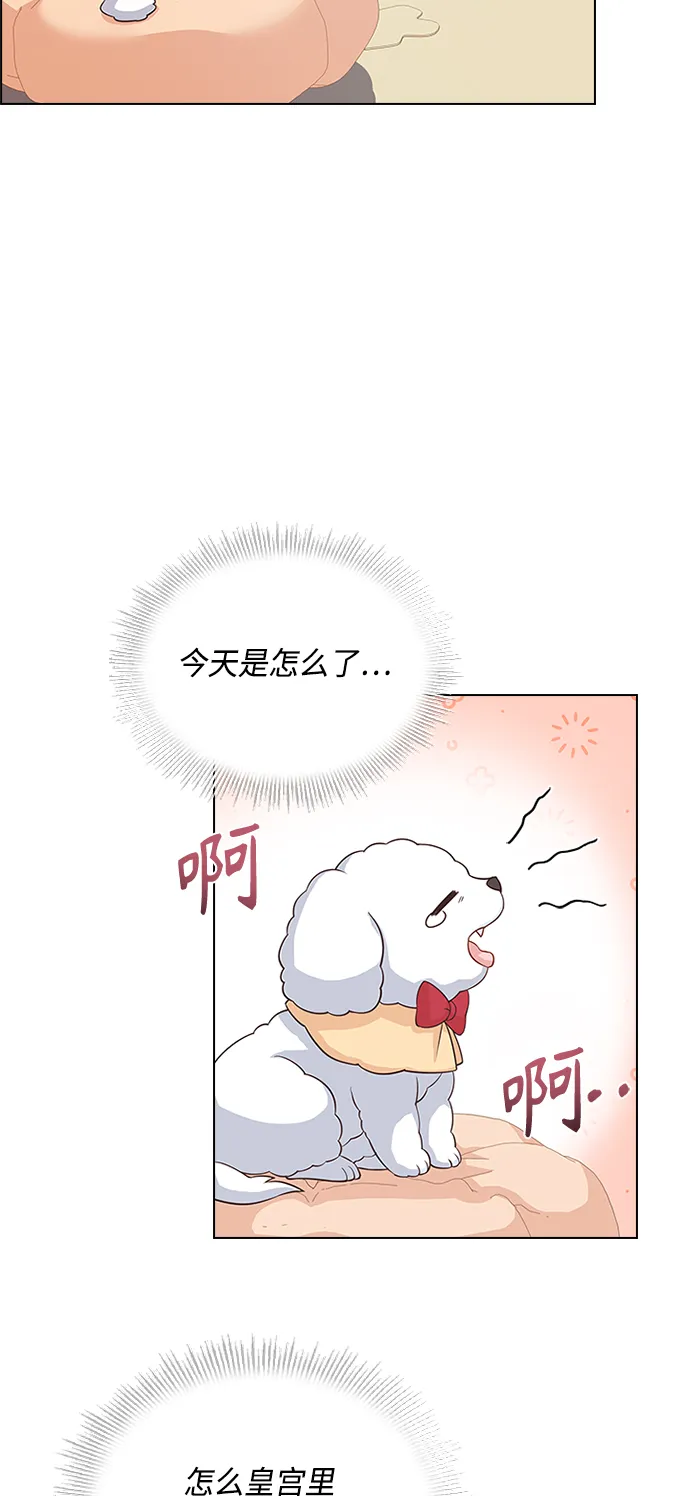第55话 第48页
