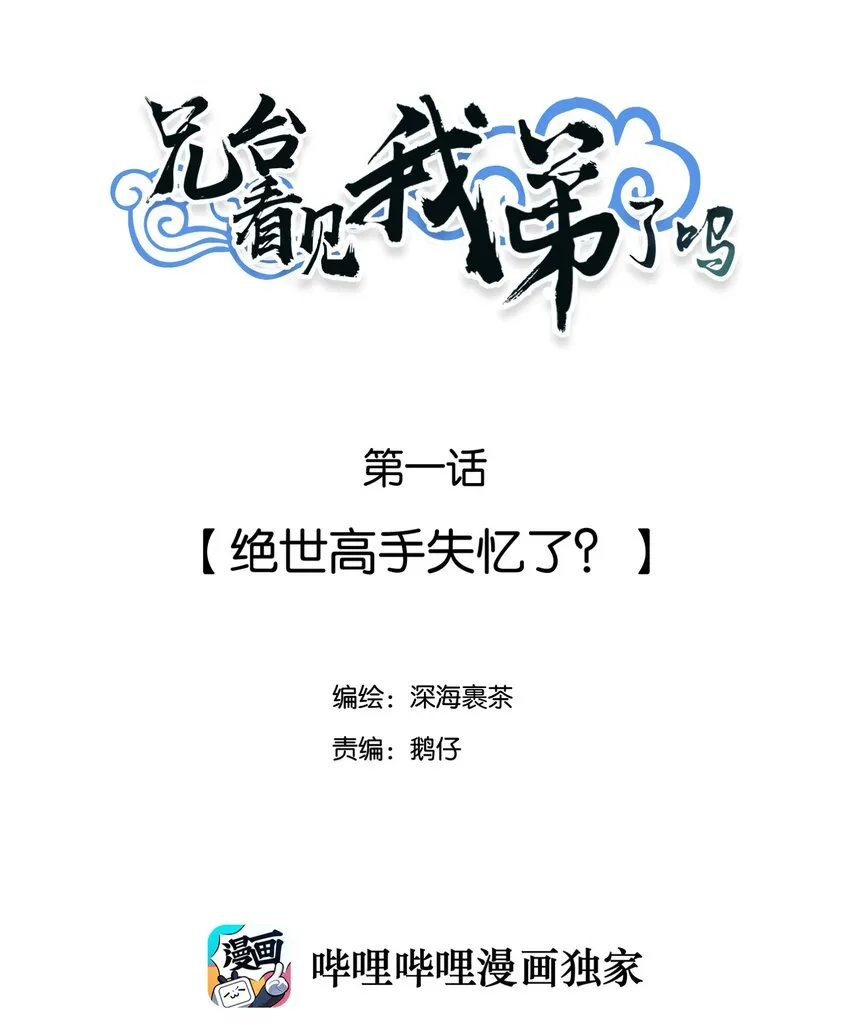 001 绝世高手失忆了？ 第2页