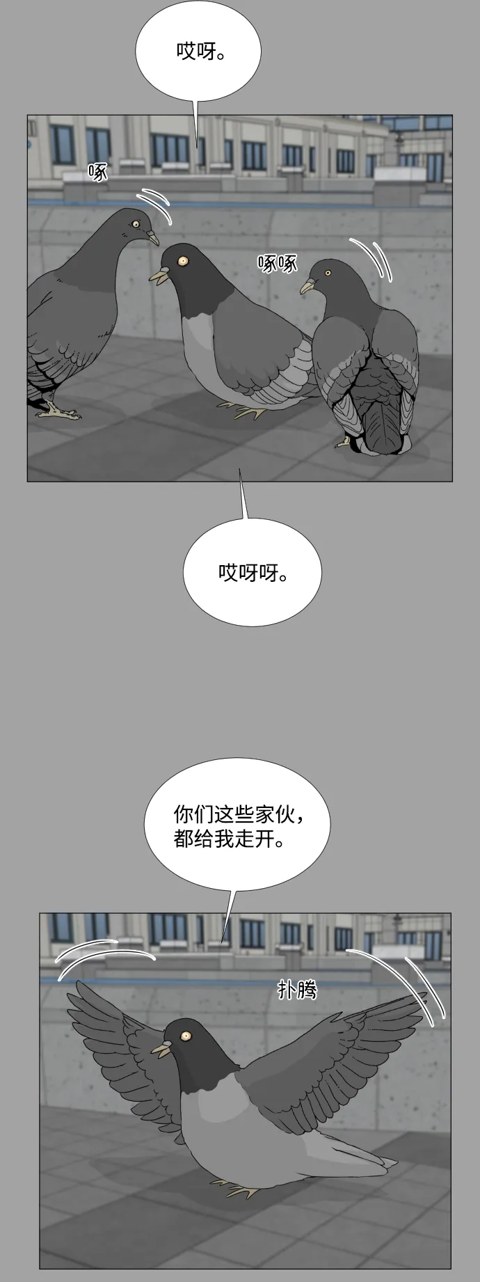第51话 第30页