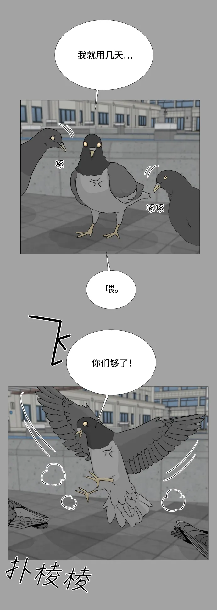 第51话 第32页