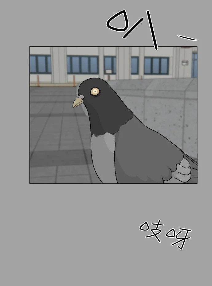第51话 第35页