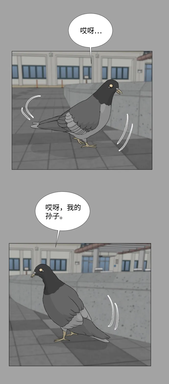 第51话 第41页
