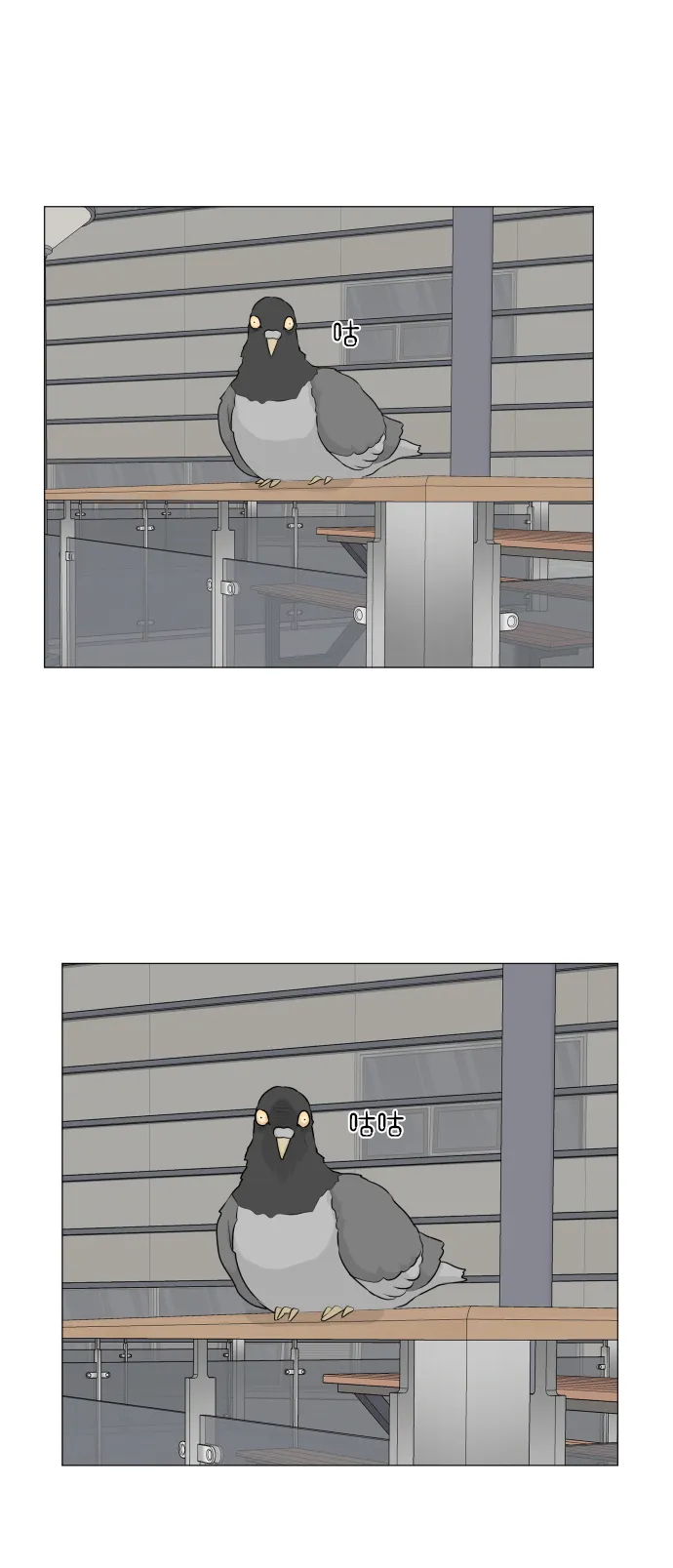第51话 第49页