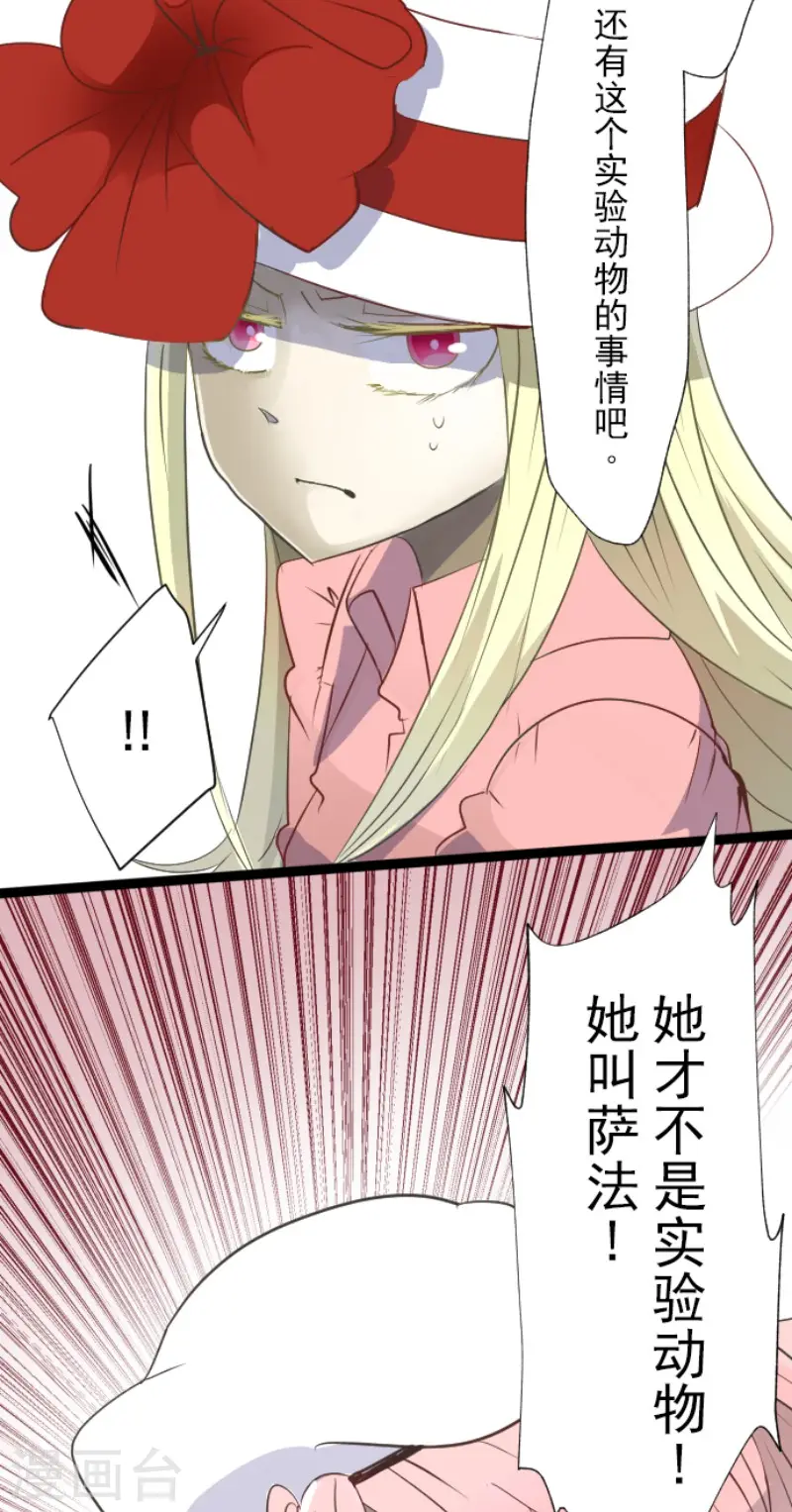 第60话 骑士团成立 第5页