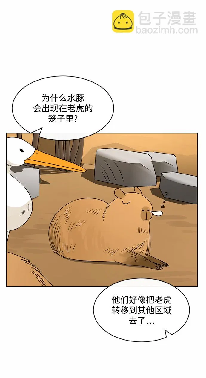 第41话 第8页
