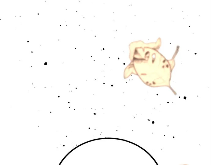 第247话 第219页