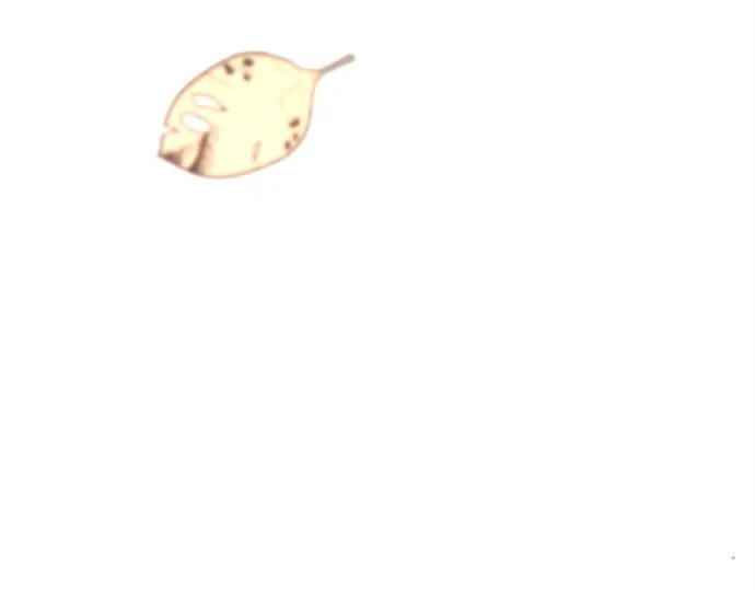第247话 第221页