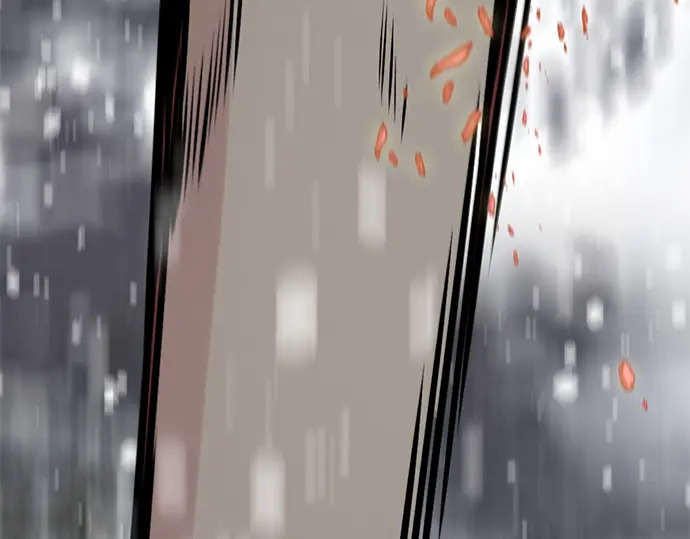 第247话 第241页