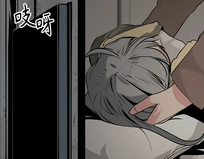 第256话 第217页
