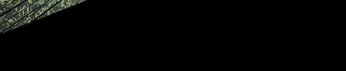 第257话 第74页