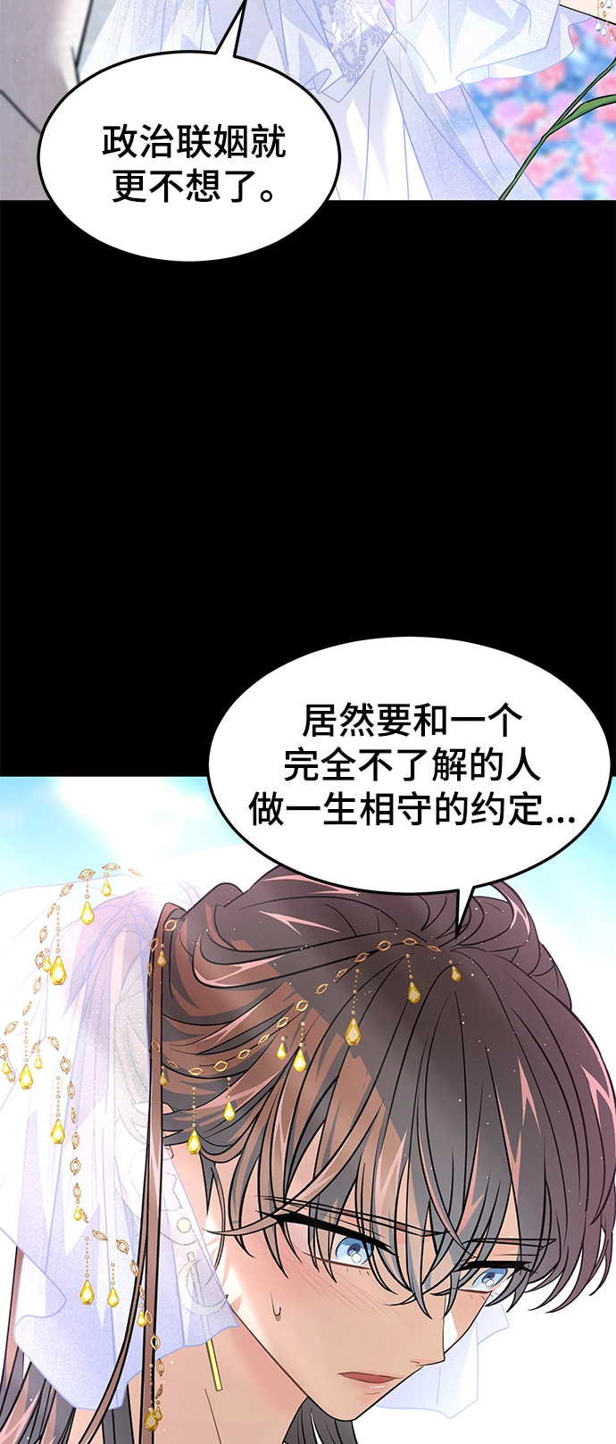 40. 宿命与任务 第63页