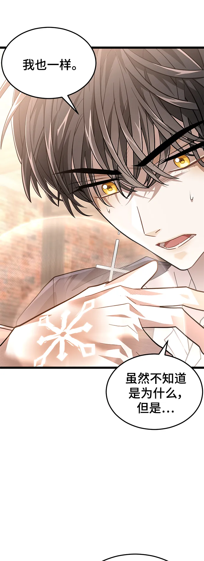 39. 奥托诺尔 第19页