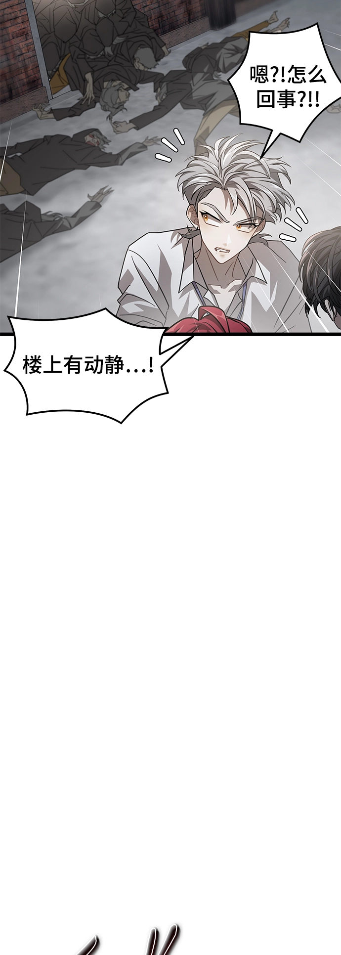 39. 奥托诺尔 第28页