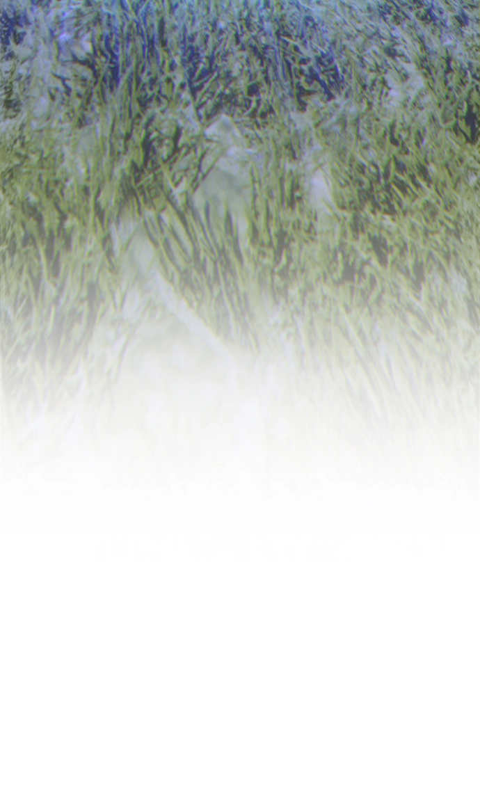 [第11话] 我从穷光蛋变成富豪的故事（1） 第16页