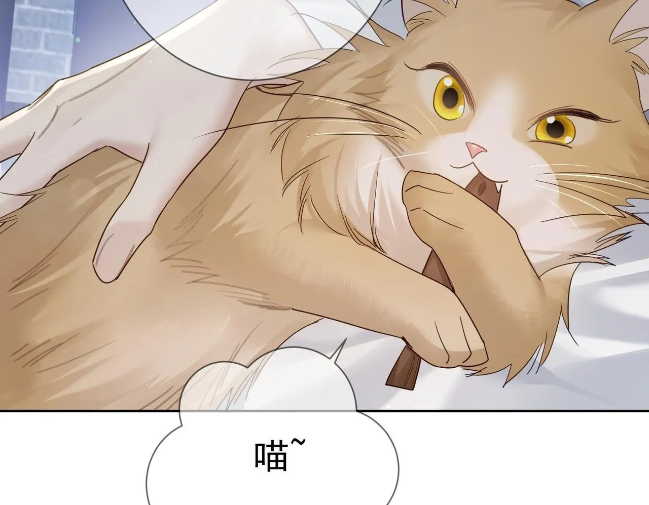 第63话：选秀 第50页