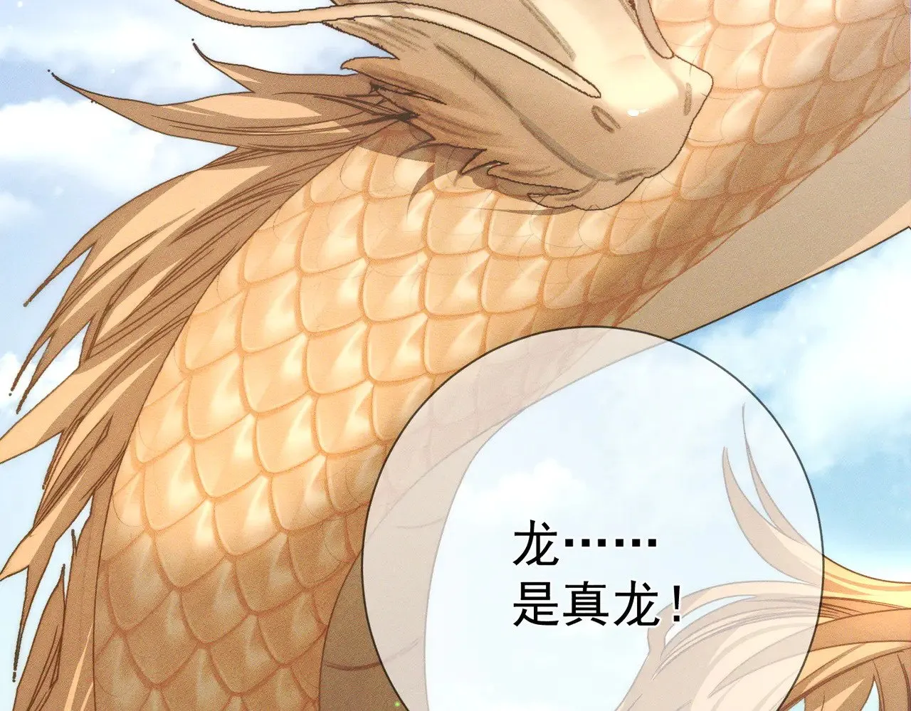 第164话：恶龙的结局 第76页