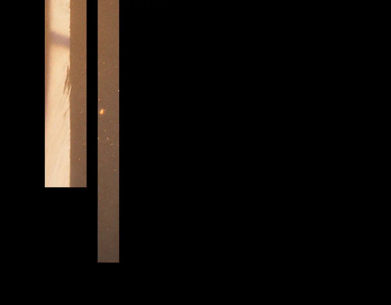 第262话：写日记 第64页