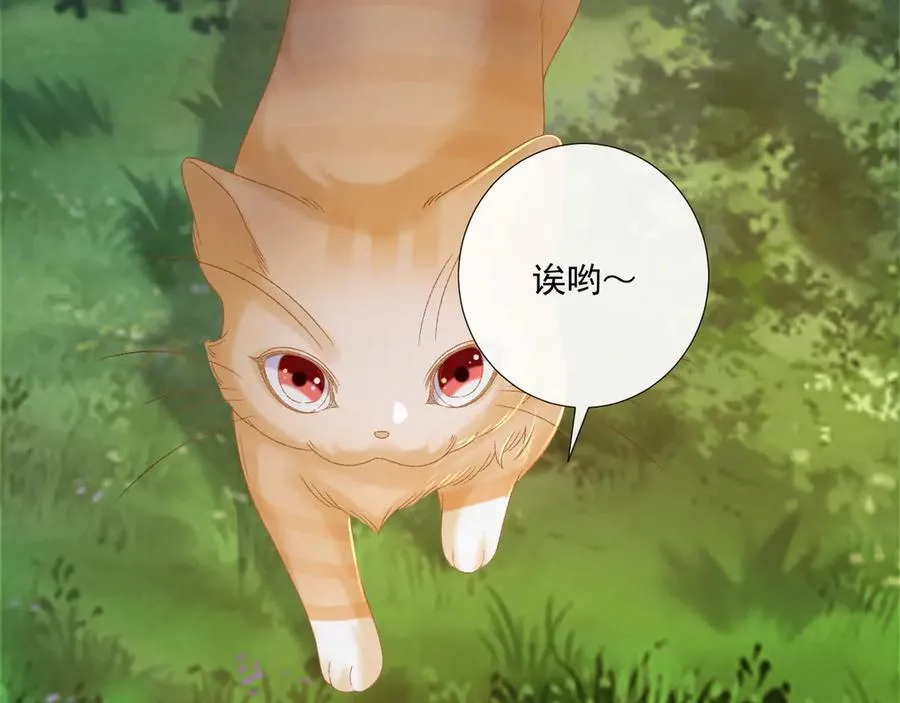 第108话 相见 第82页