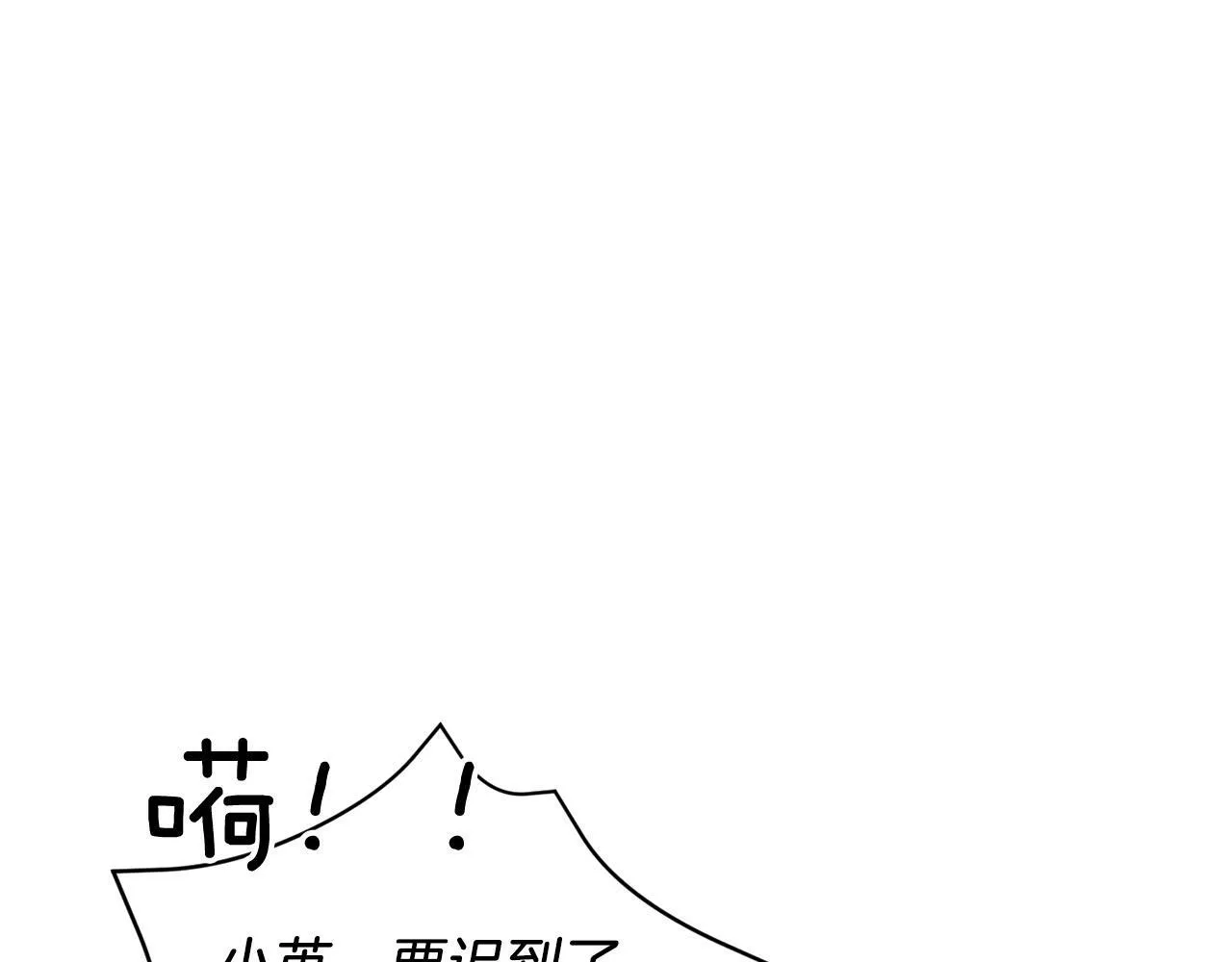 第44话 贴身保镖 第11页