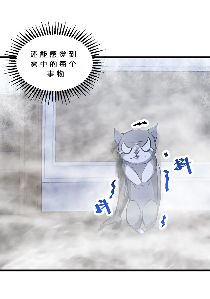 056 好戏开幕 第41页