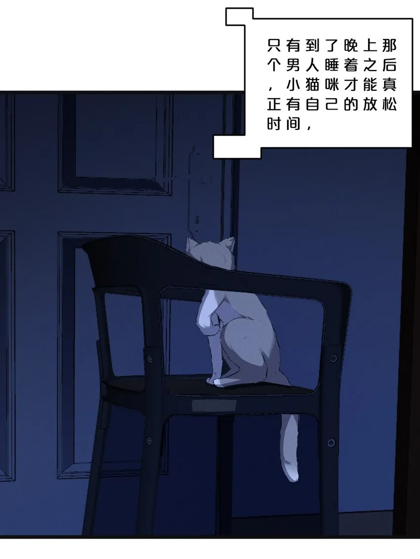 053 “虐猫事件” 第46页