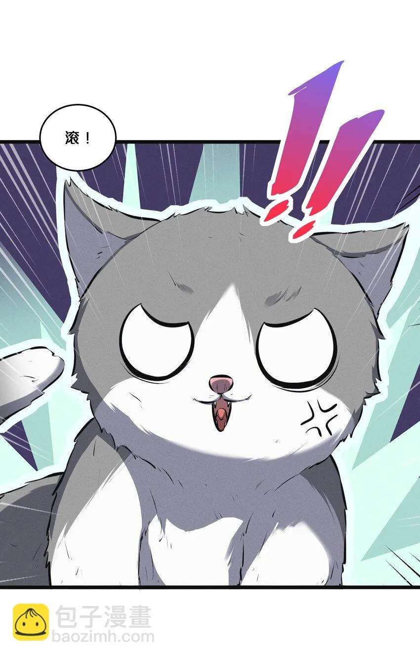 053 “虐猫事件” 第53页