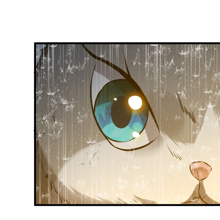 019 猫与女孩 第55页