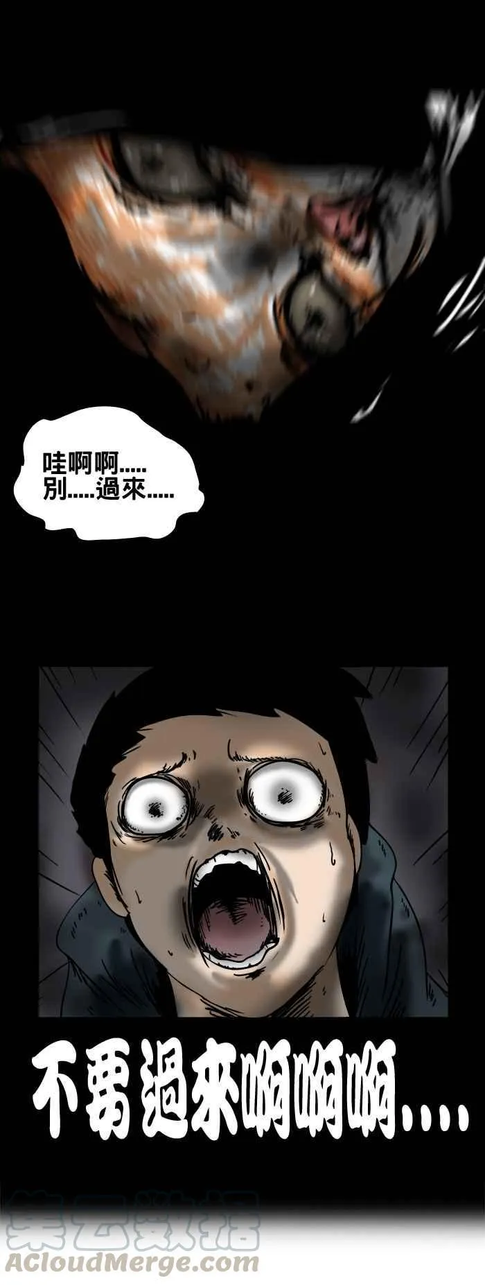 [第137话] 猫怨 第11页