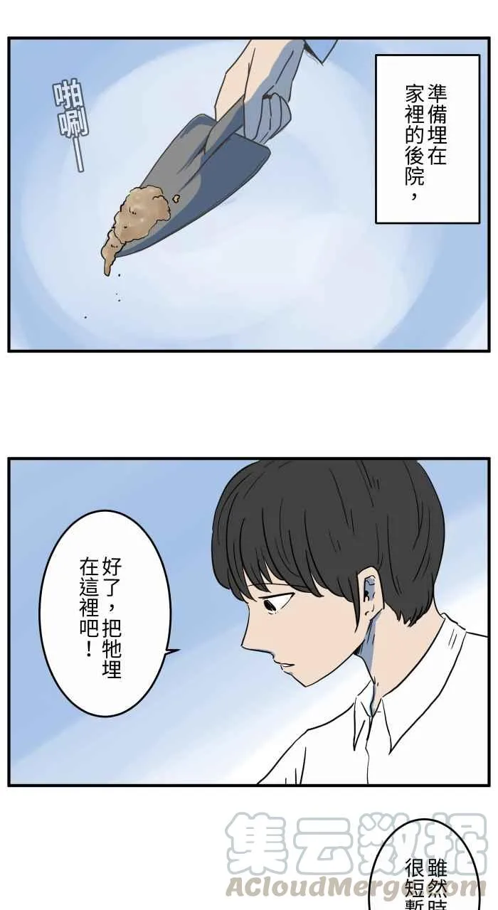 [第653话] 埋葬 第5页