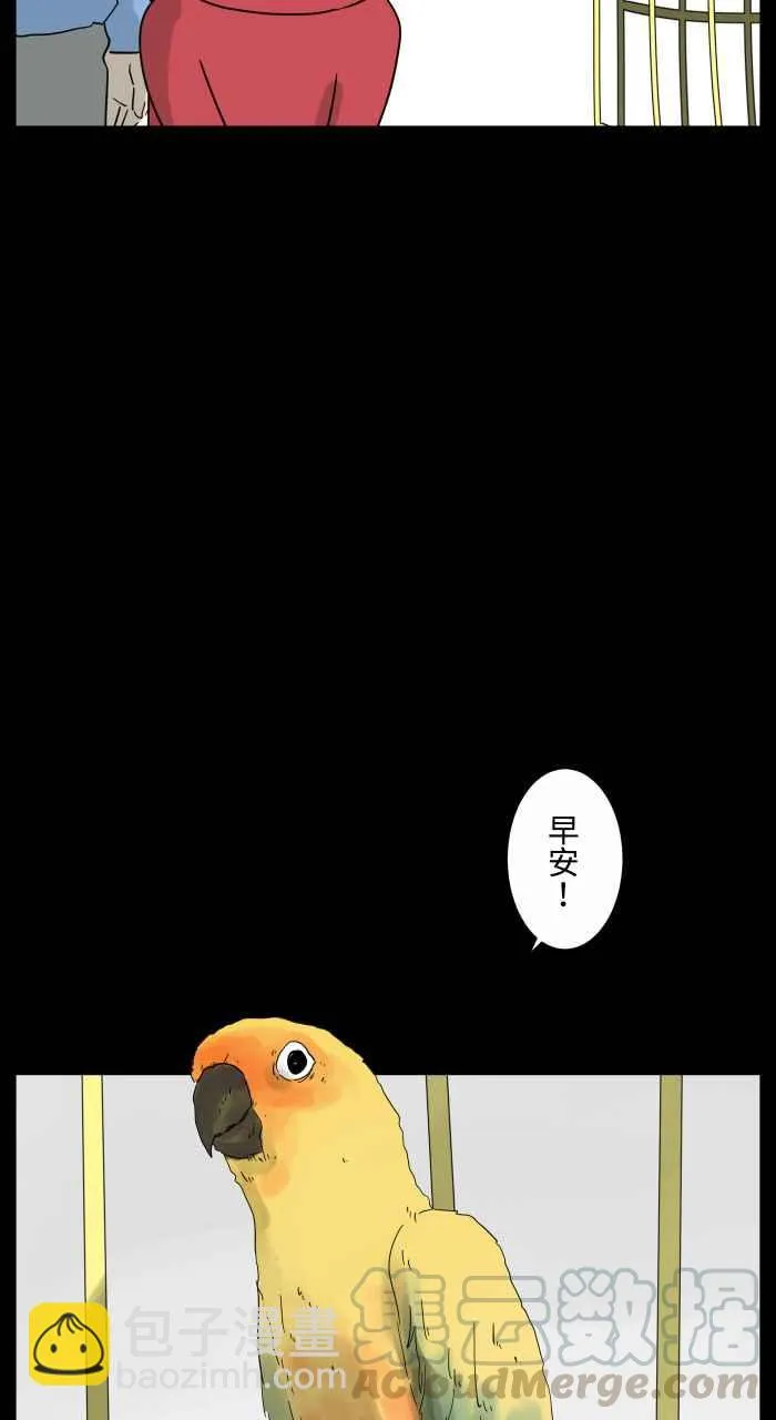 [第668话] 鹦鹉 第3页