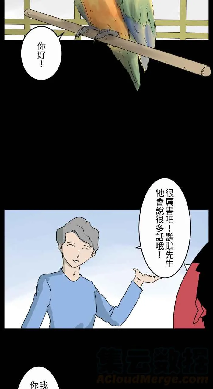 [第668话] 鹦鹉 第4页